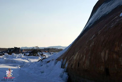 Abandoned Frozen Ships