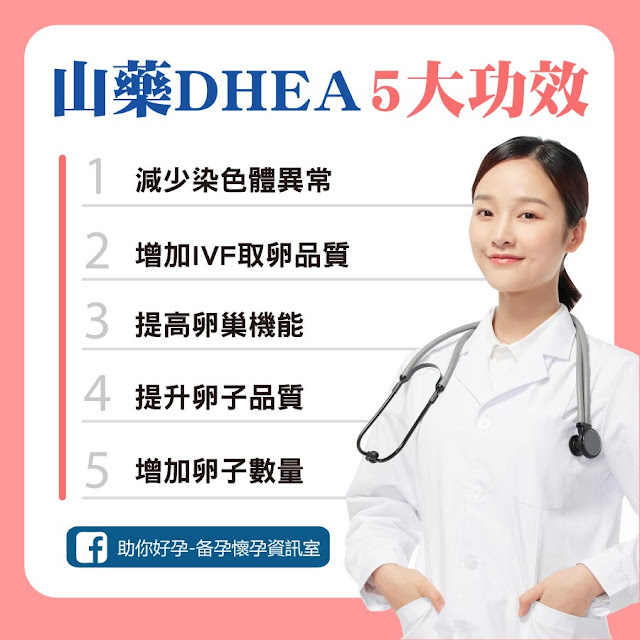 山藥DHEA功效