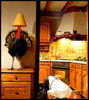 Thanksgiving Funny Pictures=