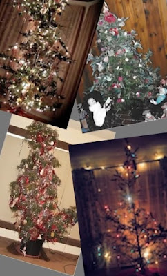 Shay Mitchell Decorated Christmas Trees