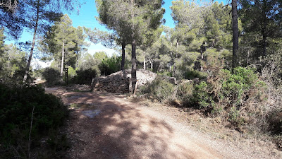 Prenafeta a Santes Creus GR-175 Ruta del Cister, camí dels Muntanyesos i el Cossiol del Soleta