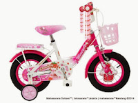 12 Inch Wimcycle Strawberry CTB Kids Bike