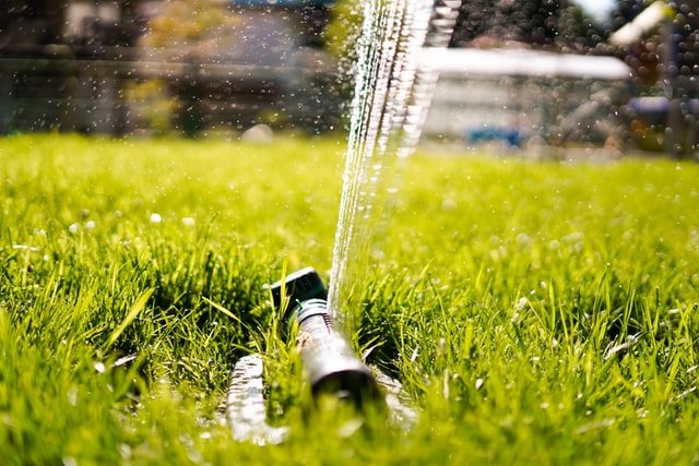Is-artificial-grass-really-the-best-choice-for-a-garden