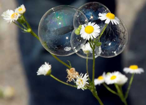 Bubbles in Nature