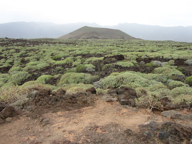 MALPAIS DE GÜIMAR (PUERTO DE GÜIMAR - TENERIFE), sendero y Montaña Grande desde el Mirador de la Montaña de Mar