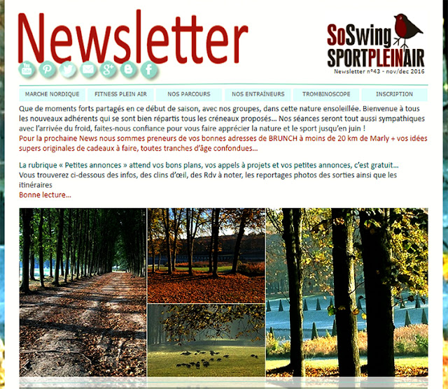  Newsletter associative