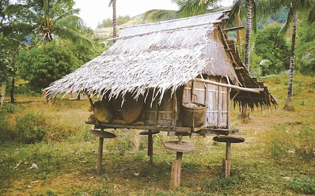 Palawan native house with rat guards