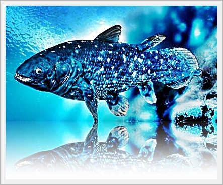 The Coelacanth Facts