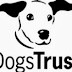 Dogs Trust CEO to Step Down