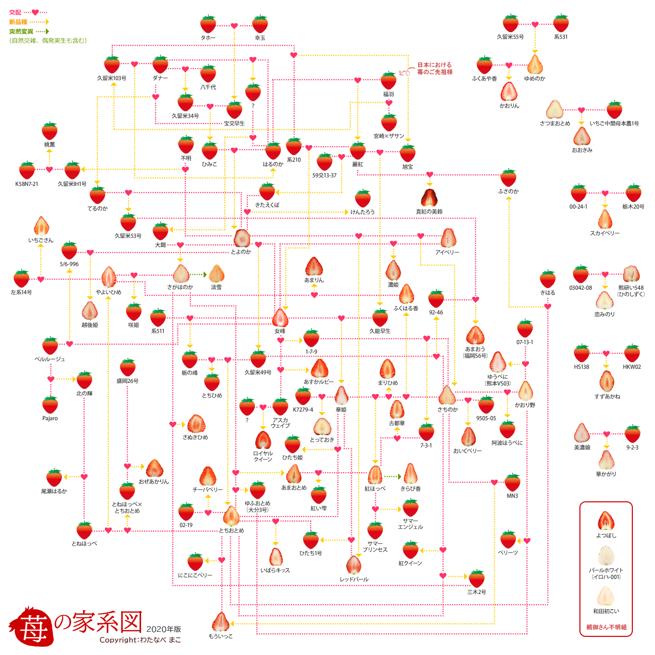 イチゴの家系図
