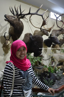 Rahmat International Wildlife Museum & Gallery wisata medan