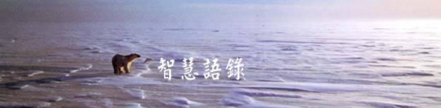 智慧語錄---靈魂卡