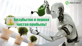 Повышение Mainrobots