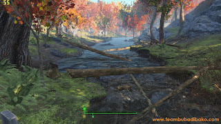 Intel G4400 play Fallout 4