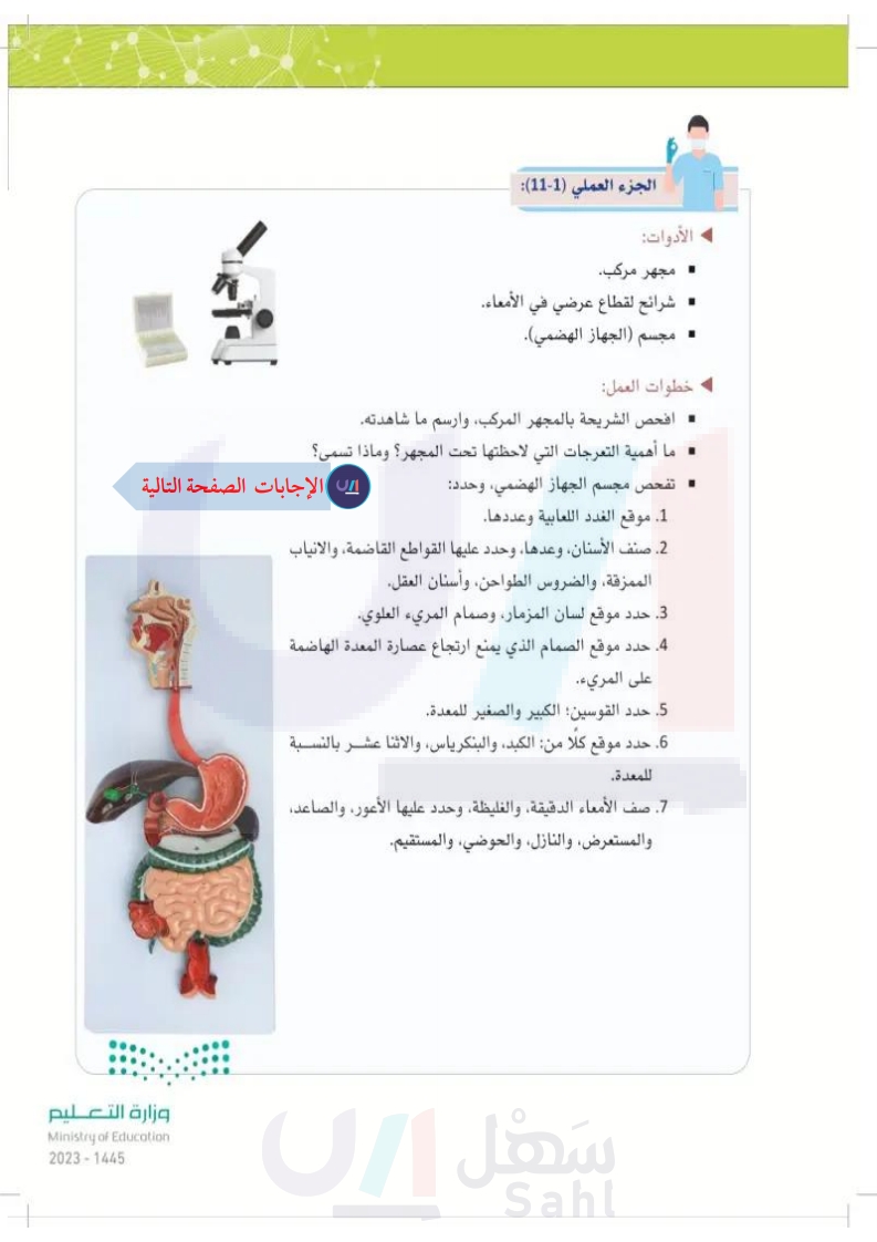 11-4 الأمراض الأكثر شيوعاً في الجهاز الهضمي