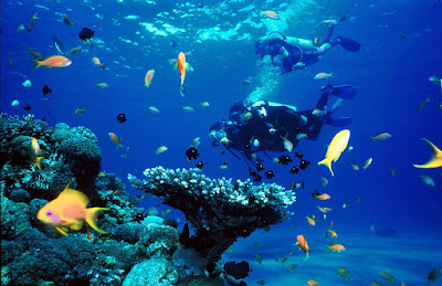 Goa Scuba Diving