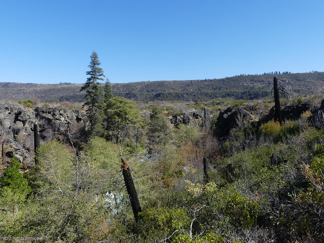 31: short cliffs leading down to burned area from burned area