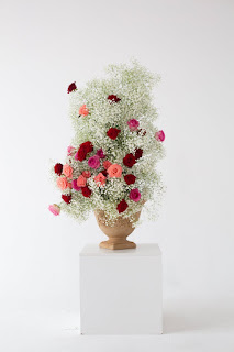 Rose images