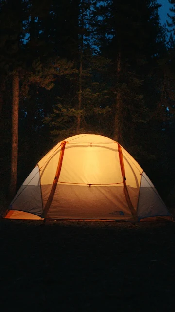 Camping, Night, Forest, Nature