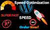optimize fast speed and improve performance of wordpress website