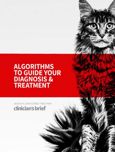 Clinicians-Brief-Algorithms-to-Guide-Your-Diagnosis-and-Treatment