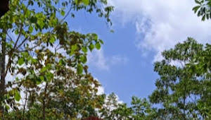 Mahasiswa KKN STKIP Taman Siswa Sukses Bangun Gapura Selamat Datang Wisata