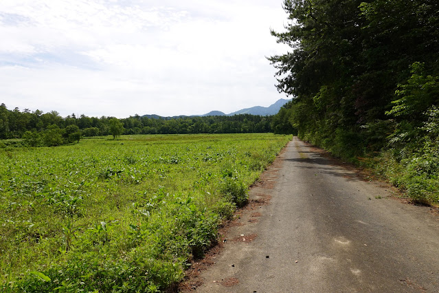 鳥取県西伯郡大山町赤松