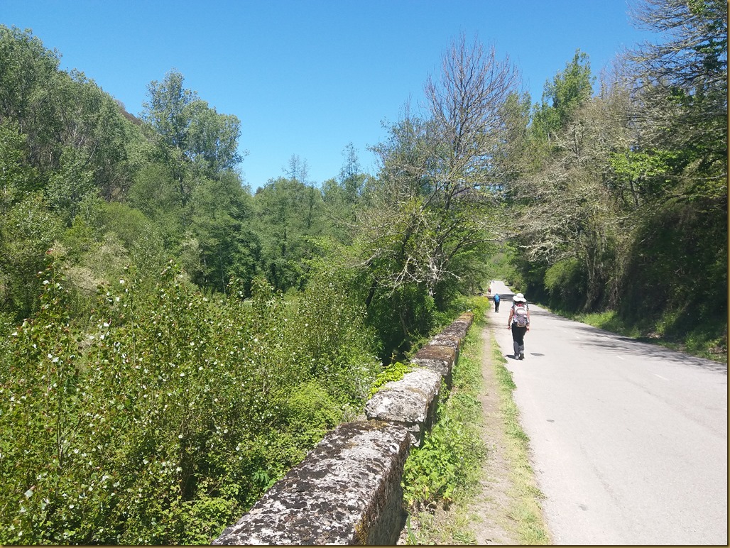 20180516_131019 Vega de Valcarce, Espanha