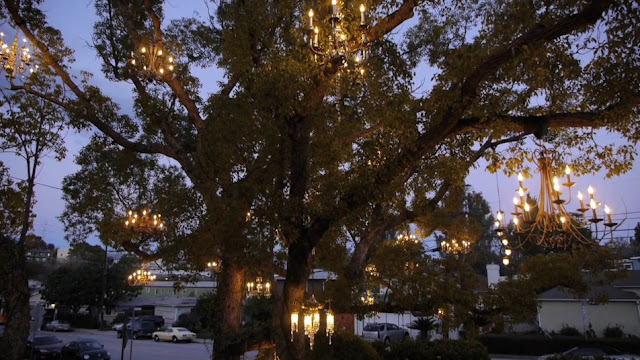 Adam Tenenbaum's chandelier tree