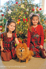 Our Christmas in Pictures {2012} from Serenity Now