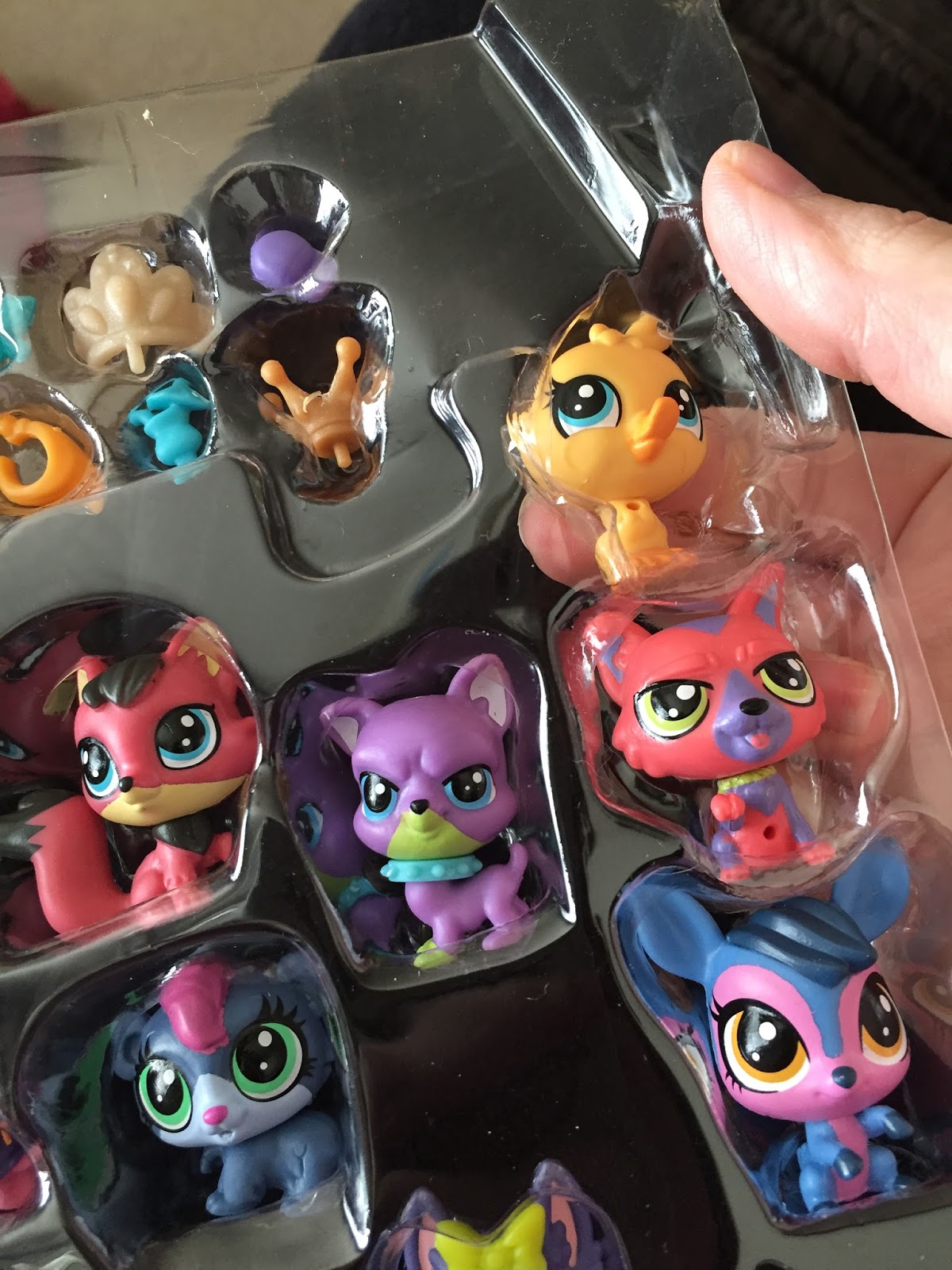 Airing My Laundry, One Post At A Time...: Why Won't Littlest Pet Shop