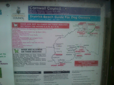 Cornwall Council Beach Guide For Dog Users taken at Gwithian