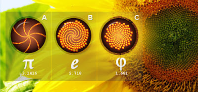 Angka Fibonacci (Angka Tuhan) 