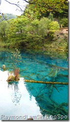 五花海4-九寨沟 Five Flower Lake 4-JiuZhai Valley National Park