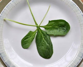 How to Eat More Vegetables: Move vegetables to the center of the plate.