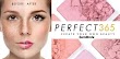 Perfect365 mod apk