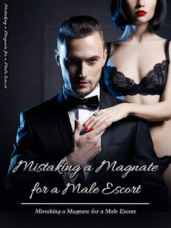 Mistaking a Magnate for a Male Escort