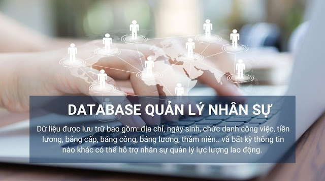 database quản lý nhân sự