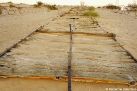 The Plank Road of Southern California