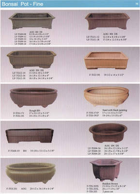 repotting bonsai, bonsai pot, pot care bonsai