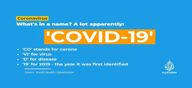 In which year did COVID-19 first appear?