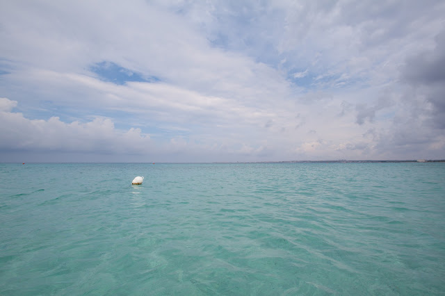 Spiaggia di Punta della Suina