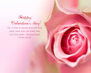 Valentine Rose Wallpaper (happy valentines day valentine pictures )