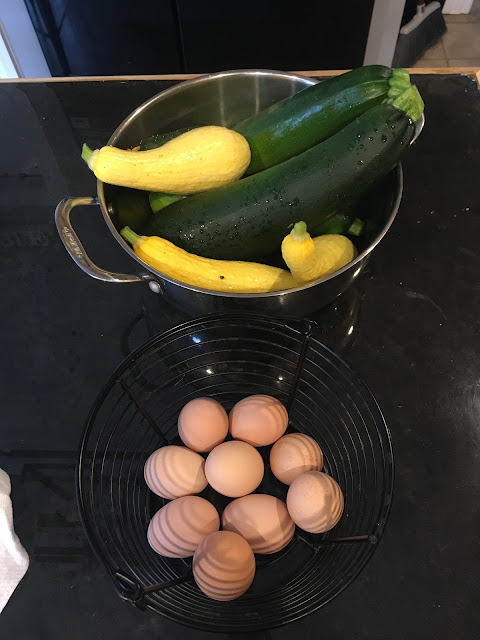 Ruple Farms - garden