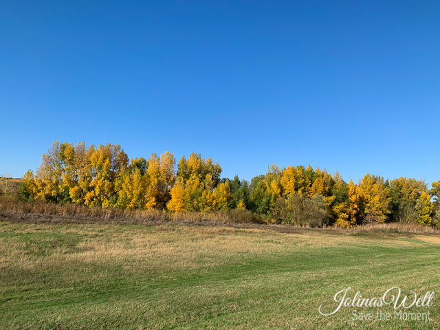 buntes Herbstlaub