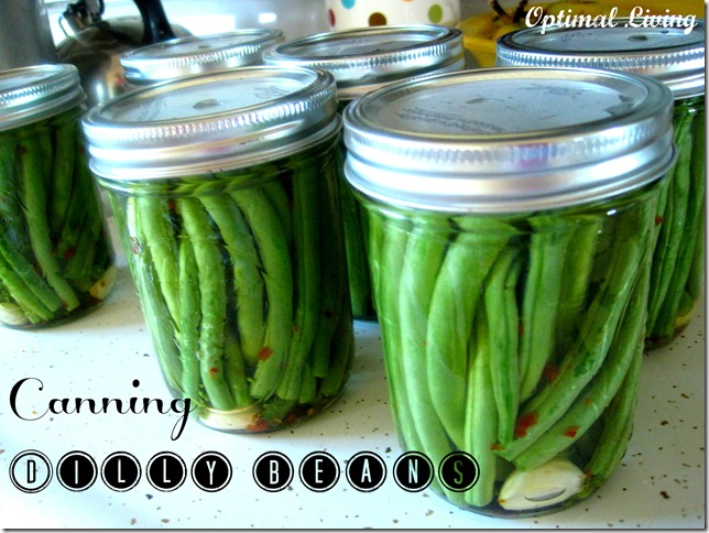 Dilly Beans