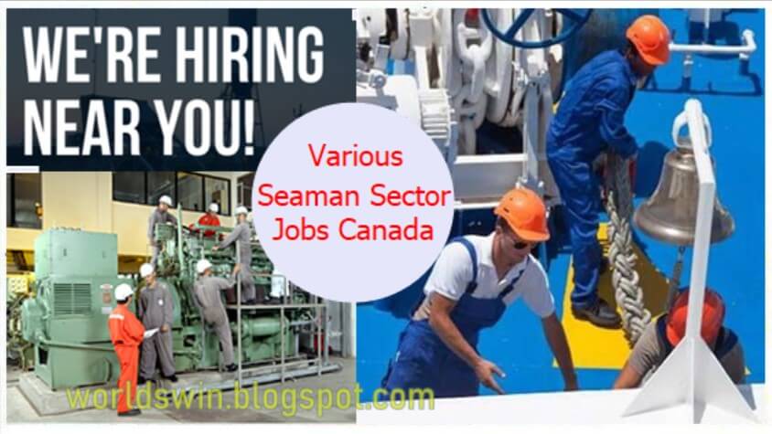 Openings vacancies in Canada - Seaman Sector