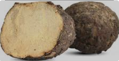 Vegetable Elephant Foot Yam(Ol) Medicinal Properties
