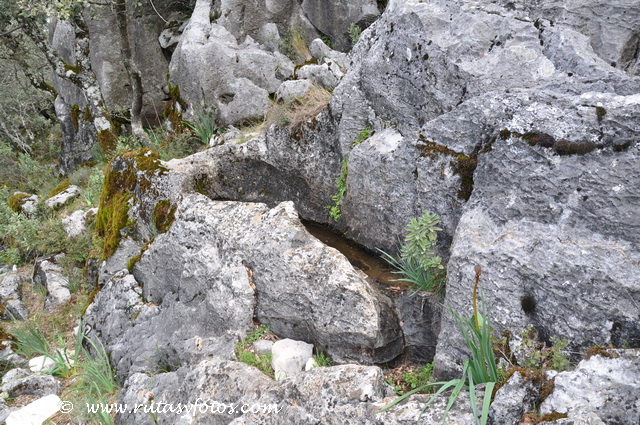 Pilones de la Sierra de Grazalema