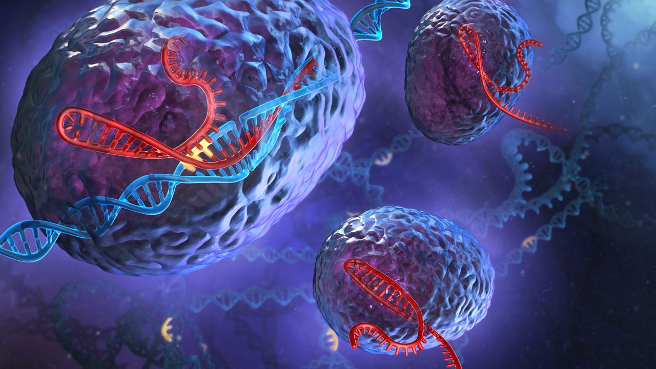 Wallpaper Dna Genetics Spirals Cells